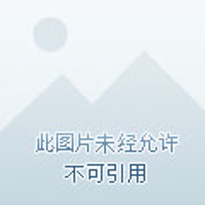 海口批发服装市场：一场时尚与经济的盛宴
